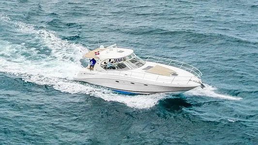 SEA RAY 42 - (12 PAX)